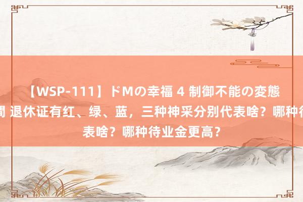 【WSP-111】ドMの幸福 4 制御不能の変態ボディ4時間 退休证有红、绿、蓝，三种神采分别代表啥？哪种待业金更高？