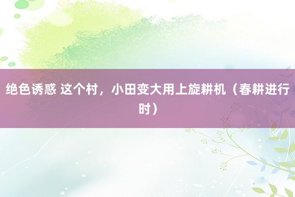 绝色诱惑 这个村，小田变大用上旋耕机（春耕进行时）