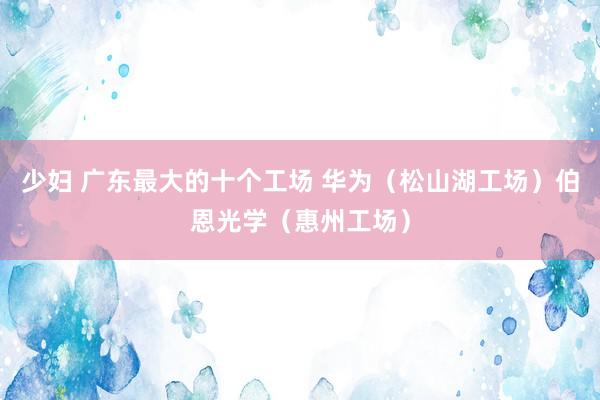 少妇 广东最大的十个工场 华为（松山湖工场）伯恩光学（惠州工场）