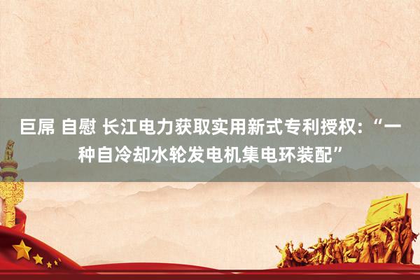 巨屌 自慰 长江电力获取实用新式专利授权: “一种自冷却水轮发电机集电环装配”