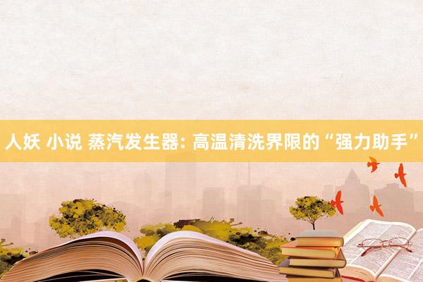 人妖 小说 蒸汽发生器: 高温清洗界限的“强力助手”